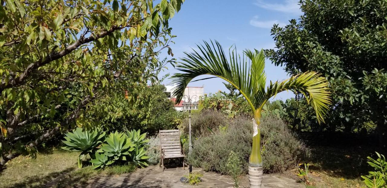 Апартаменти La Casita De La Vega Ікод-де-лос-Вінос Екстер'єр фото