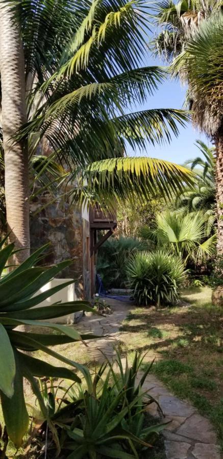 Апартаменти La Casita De La Vega Ікод-де-лос-Вінос Екстер'єр фото