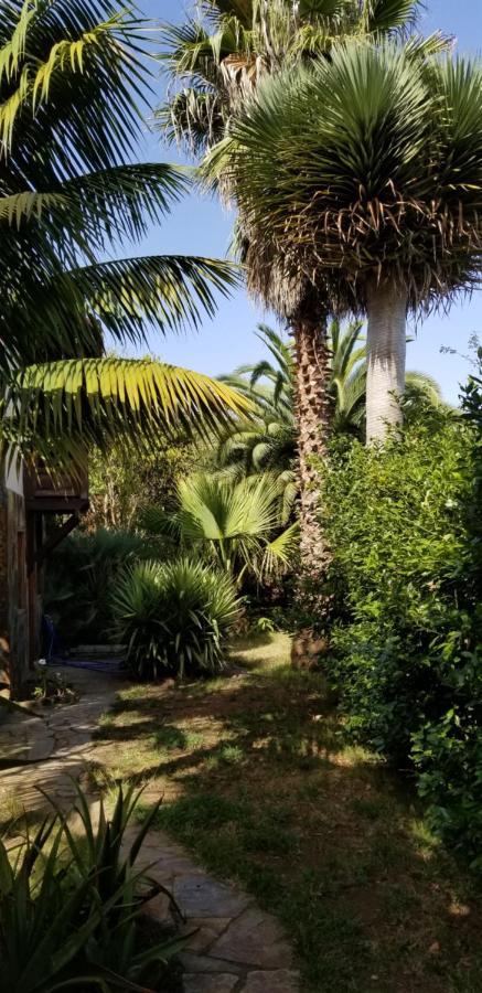 Апартаменти La Casita De La Vega Ікод-де-лос-Вінос Екстер'єр фото