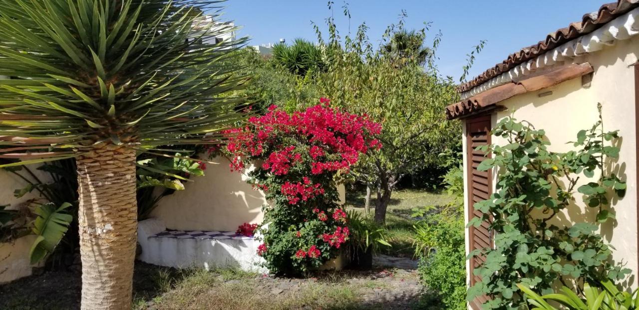 Апартаменти La Casita De La Vega Ікод-де-лос-Вінос Екстер'єр фото